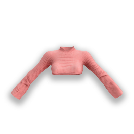 .pp. Jaylen Ribbed Crop Sweater / Coral 
