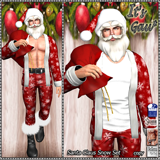 *It's Gau* Santa Claus Snow Set