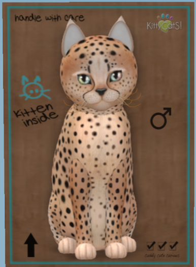 KittyCatS Box - Cheetah! - Au Natural - Petite