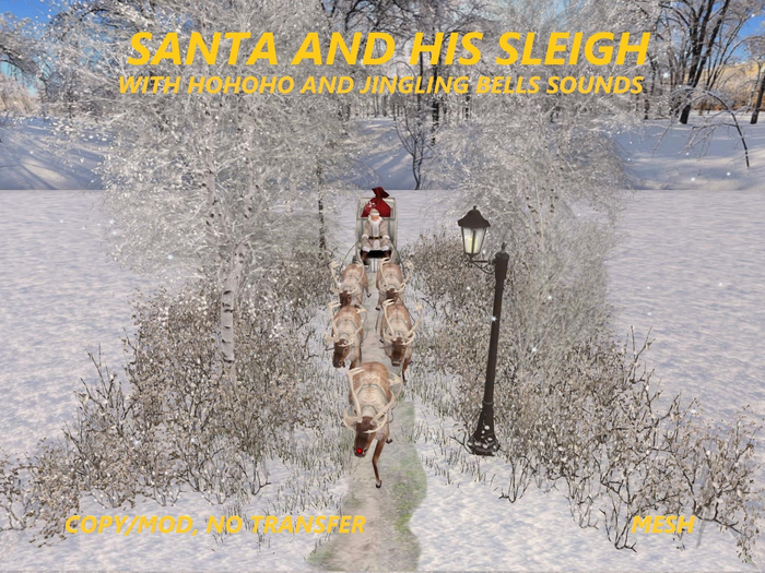 SANTA AND HIS SLEIGH