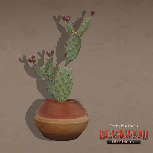 [Blackwood Traders] Potted Prickly Pear-Boxed