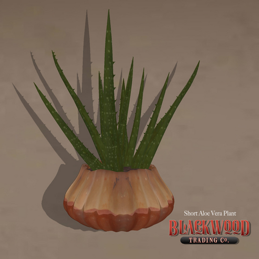 [Blackwood Traders] Potted Aloe Plant-Short-Boxed