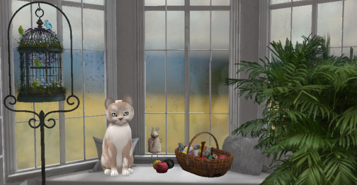 KittyCats-Fur: British Shorthair - Cream & White-Size: Normal-Boy
