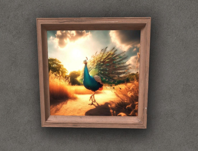 MAGESTUOUS PEACOCK - MAINS AR