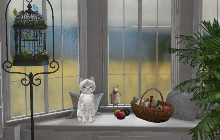 KittyCatS-Fur: Australian Mist - Snow-Size: Normal-Boy