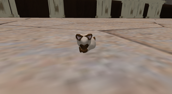 Stray Cats Kitten - Stray Kitty (M)