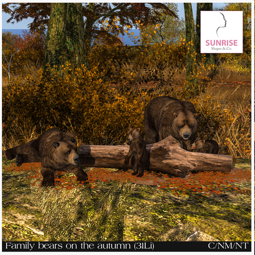 SUNRISE Shapes & co - Family bears on the autumn (ADD)