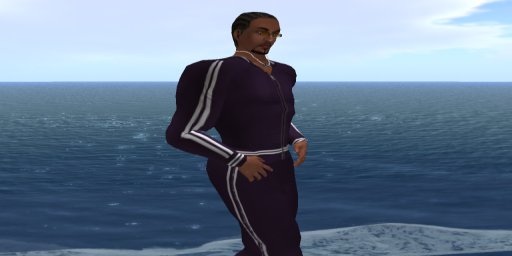 Royal Purple Track Suit 