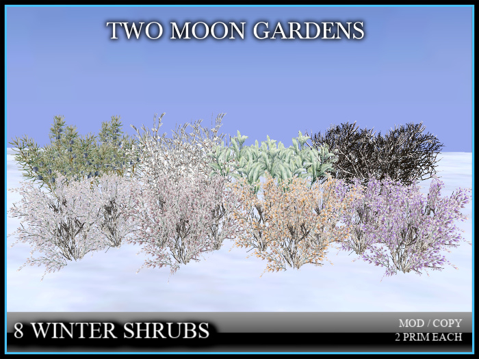 Winter Plants Fatpack 