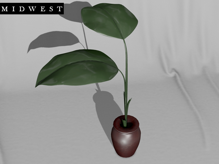 Midwest - Personal - Vase Plant