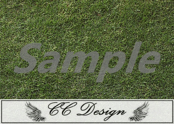 Texture .grass 9