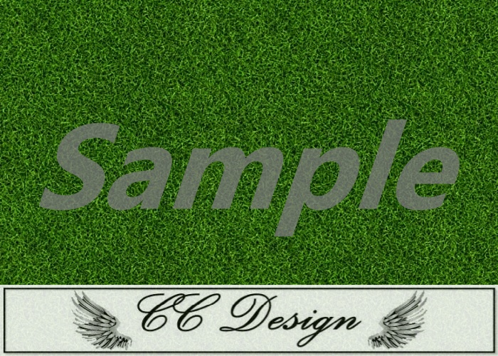 Texture .grass 7