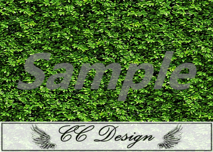 Texture .Grass 63