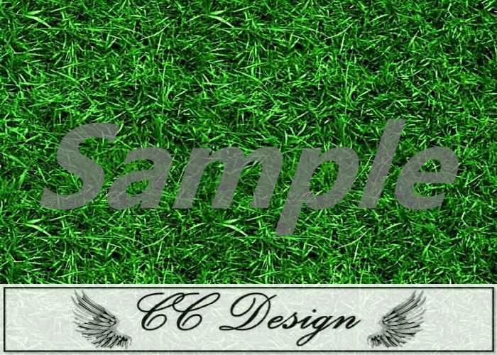 Texture .Grass 71