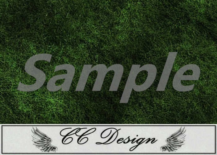 Texture .Grass 66