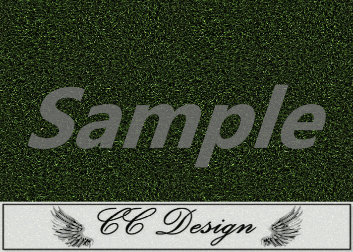 Texture .Grass 80
