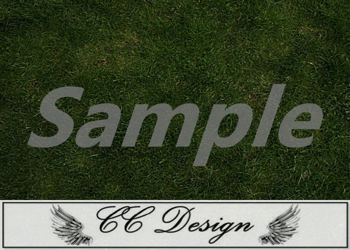 Texture .Grass 78