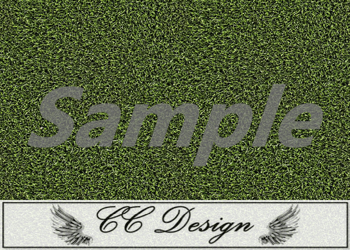Texture .Grass 77