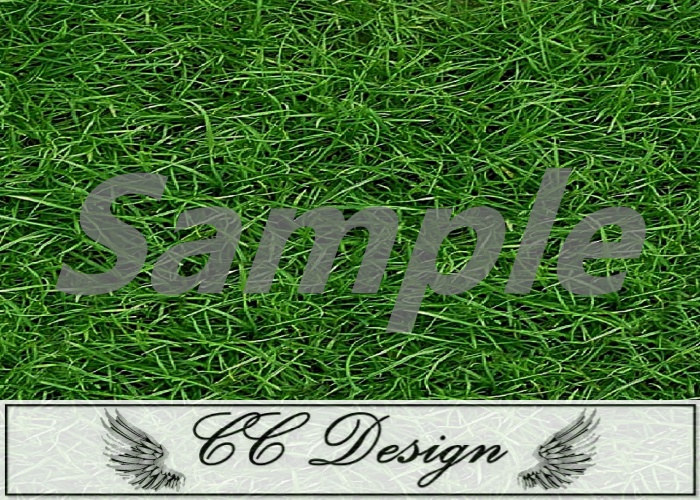 Texture .Grass 76