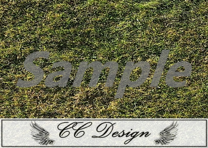 Texture .Grass 75