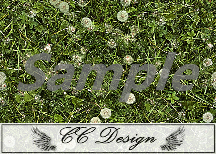 Texture .Grass 93