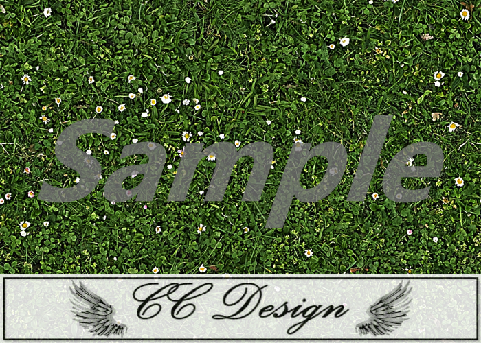 Texture .Grass 91