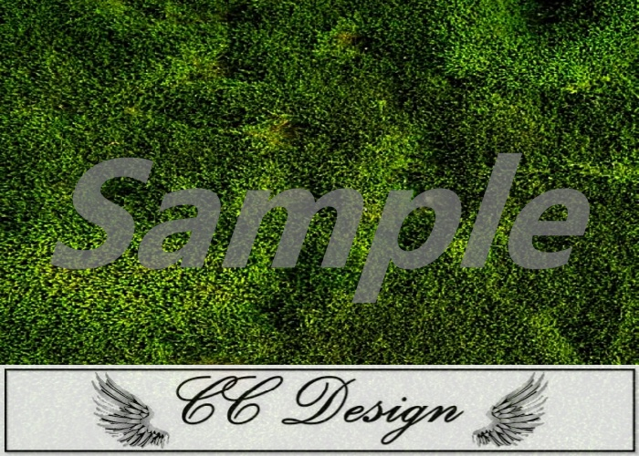 Texture .Grass 95
