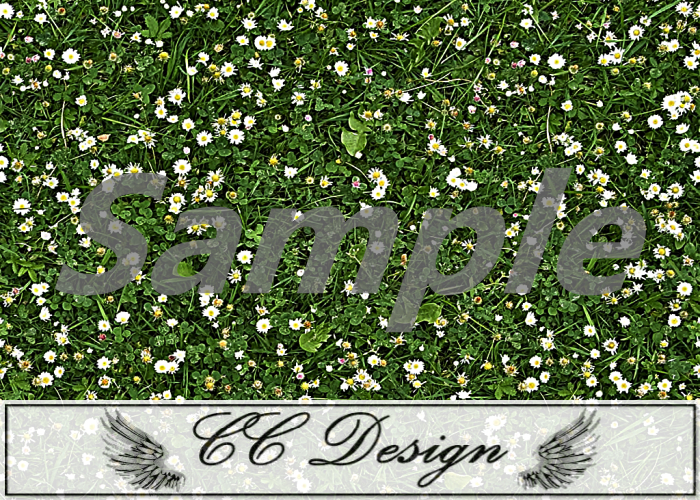 Texture .Grass 94