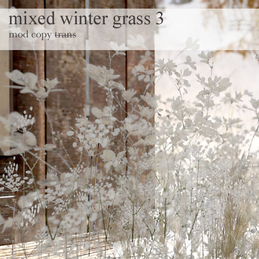 Samsa . mixed winter grass 3 mpl