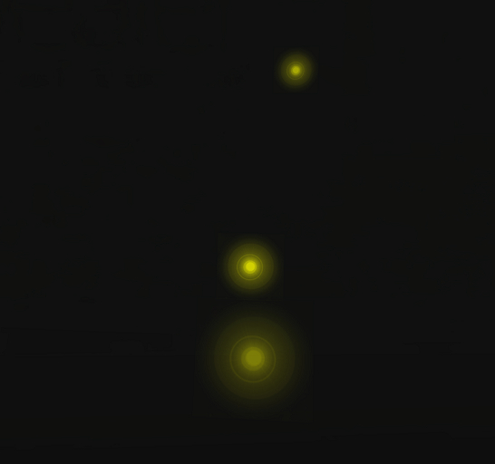 Fire Fly particle Lights
