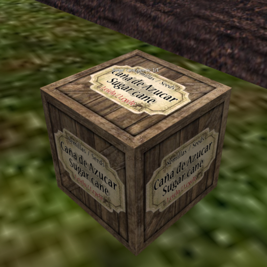 Sugar cane seeds [G&S]