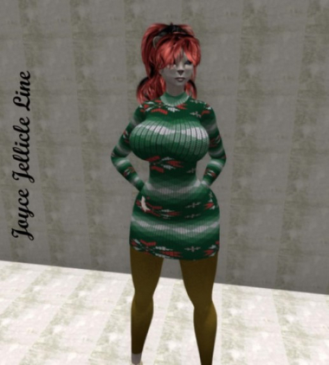 Ladies Poinsettia Sweaterdress