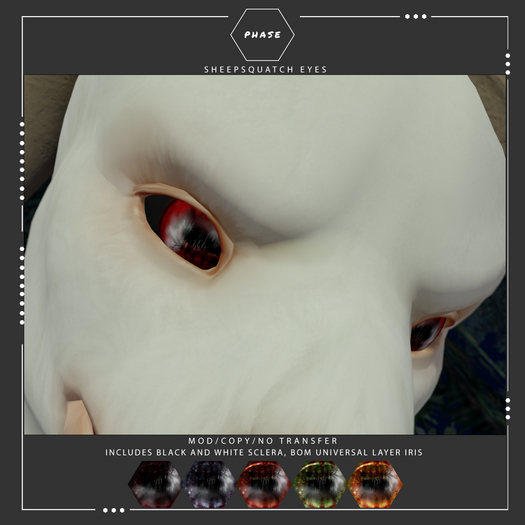 PHASE - Sheepsquatch Eyes