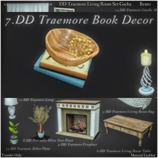 7.DD Traemore Book Decor/Boxed