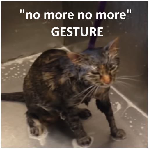 .:: KhaosStuffz ::. nomore (cat no more) GESTURE