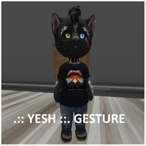 .:: KhaosStuffz ::. yesh (dinkie says yesh) GESTURE
