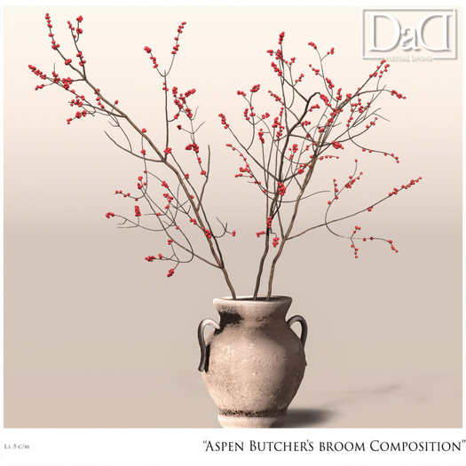 DaD - Aspen Butcher's broom Composition