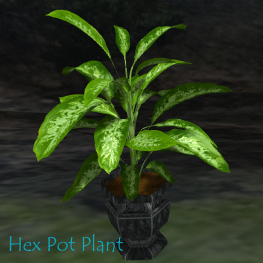 MBC - Hex pot plant 2