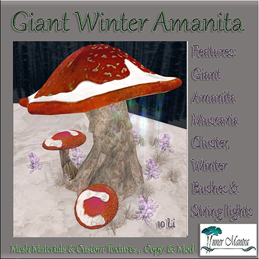 +Inner Mantra+ Giant winter Amanita {Box}