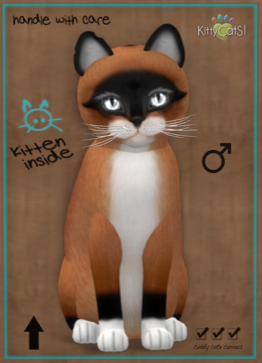 KittyCatS Box - New Born Kitten.Version: 1.45