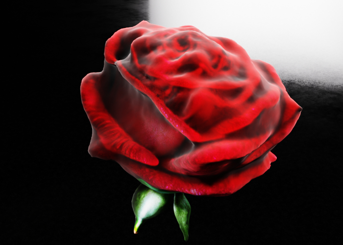 rose