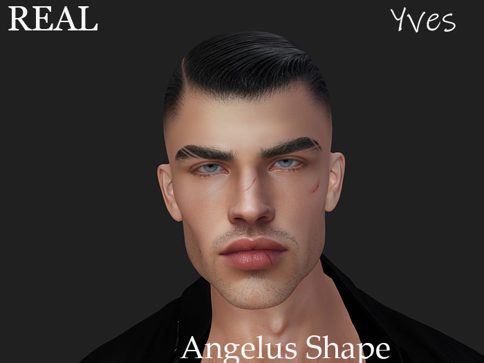 Angelus Shape Yves