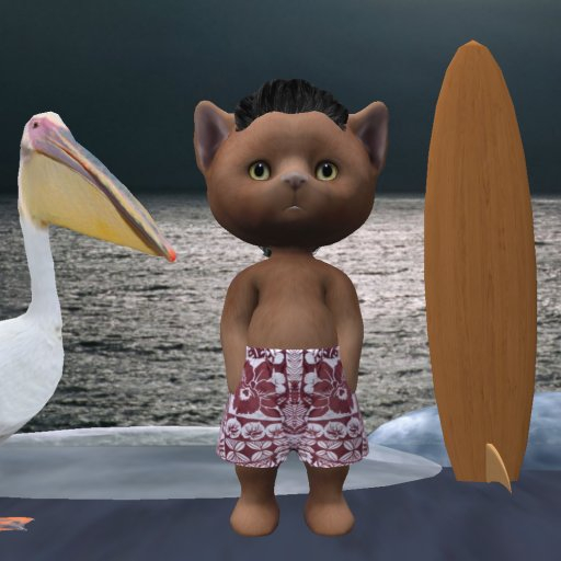 Dinkie Frankie Trunks Hawaiian Red