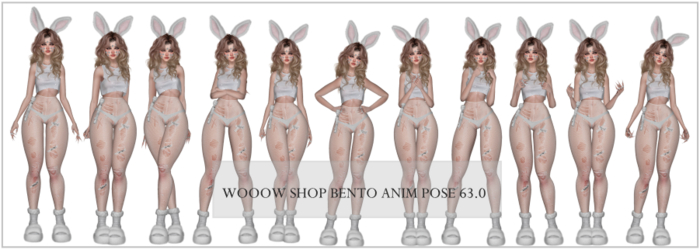 WOOOW SHOP BENTO ANIM POSE AO 63.0