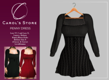 Carol's Store-Penny Dress Black