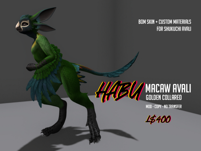 [HABU] Macaw Avali - Gold Collared