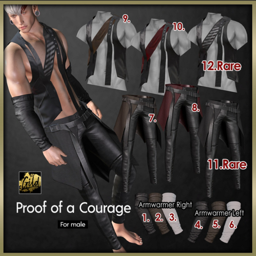 12.gianni [Gild]POC_Vest_BlackBand RARE