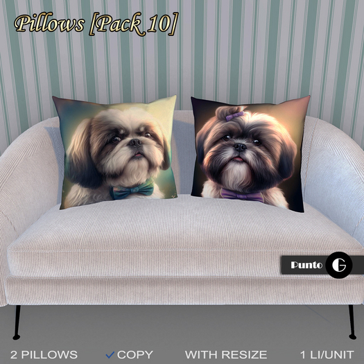 [.G] Pillows [Pack 10]
