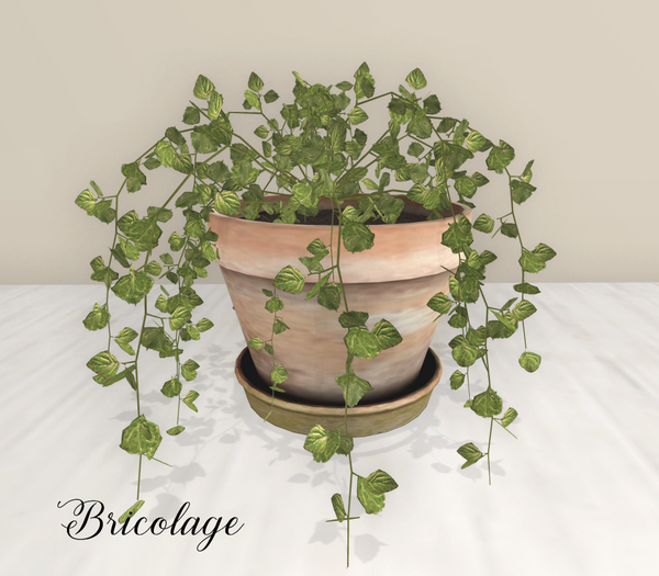 Bricolage Swedish Ivy