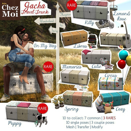 Kitty Travel Trunk CHEZ MOI